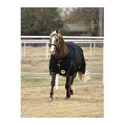Medium Weight Turnout Horse Blanket Valley Vet Supply